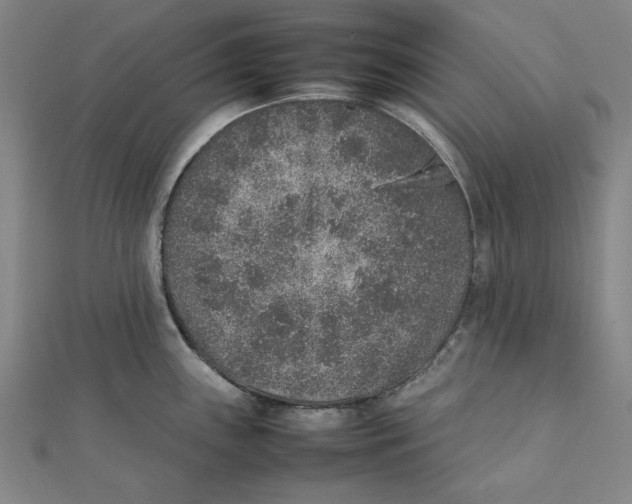 X0000111651243200908141244