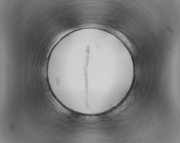 X0000111651244200908141244
