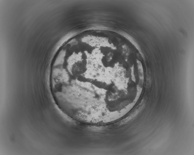 X0000111651245200908141244