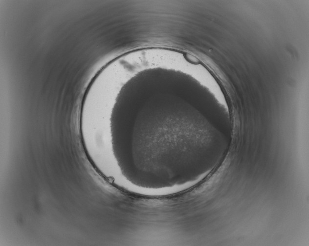 X0000111651246200908141244