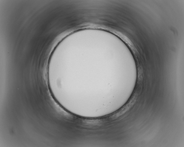 X0000111651247200908141244