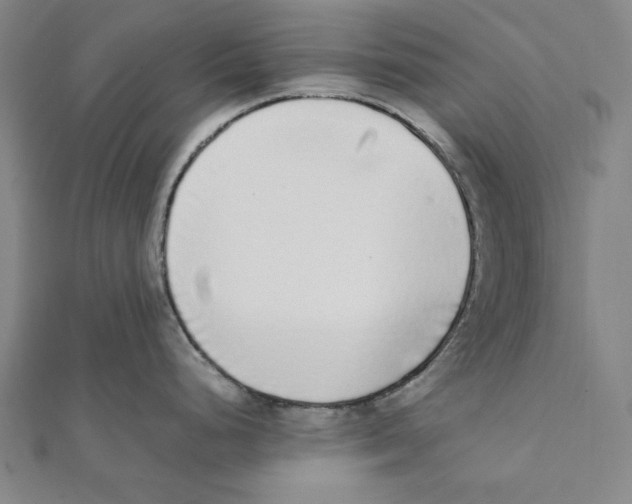 X0000111651248200908141244