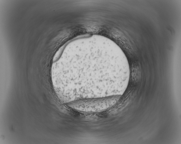X0000111651249200908141243