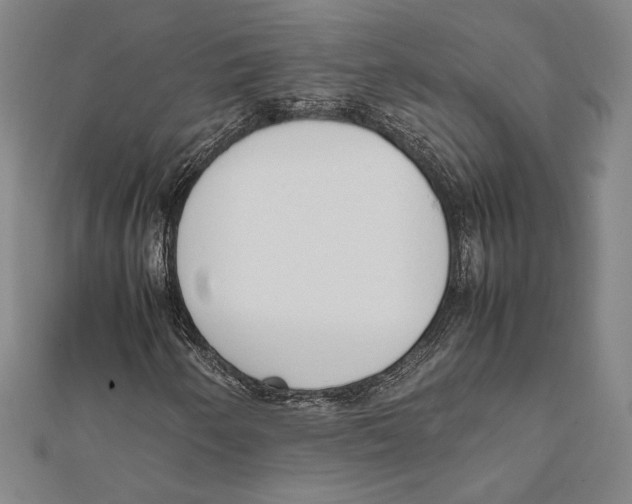 X0000111651250200908141243
