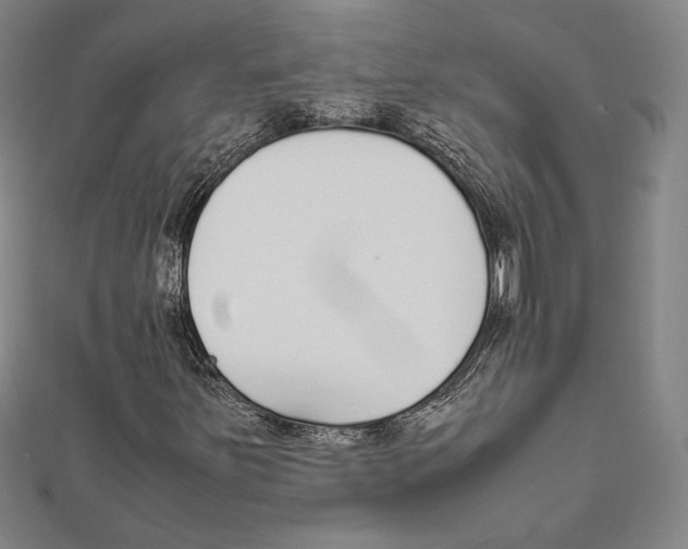X0000111651251200908141243