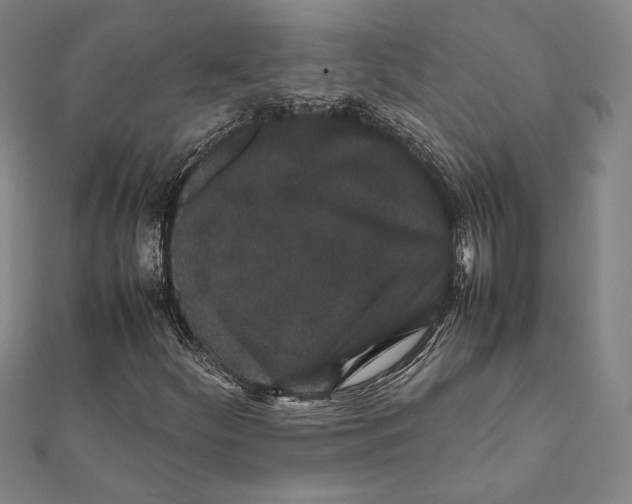 X0000111651252200908141243