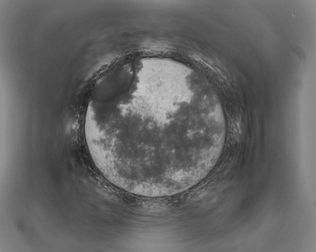 X0000111651254200908141243