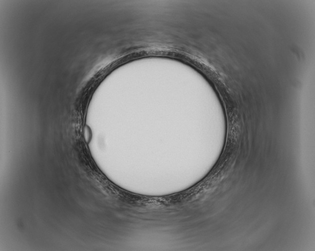 X0000111651255200908141243