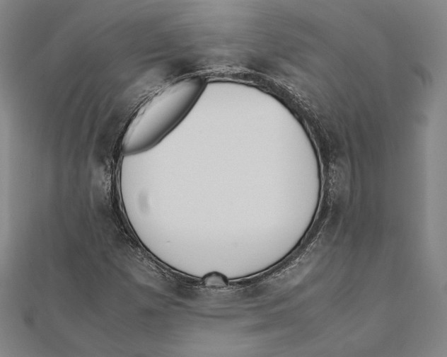 X0000111651257200908141243