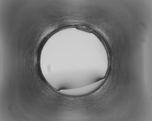 X0000111651261200908141243