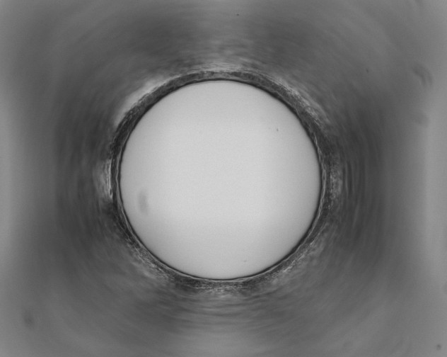 X0000111651262200908141243