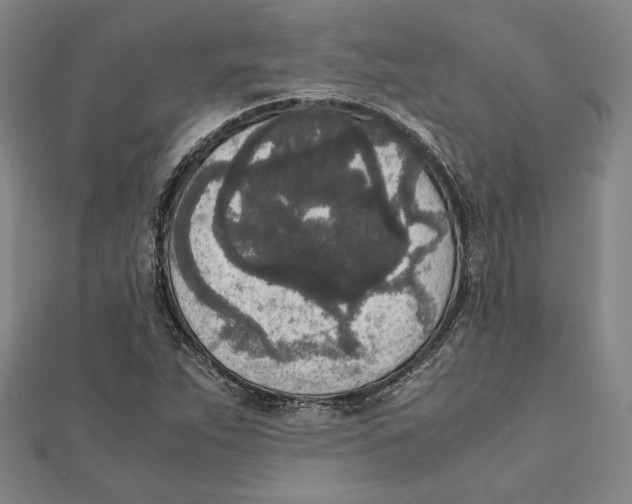 X0000111651263200908141243