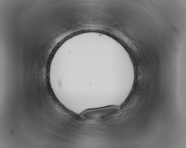 X0000111651264200908141243