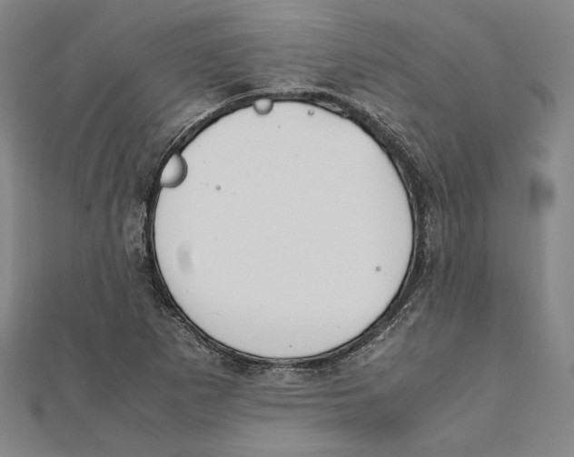 X0000111651265200908141243