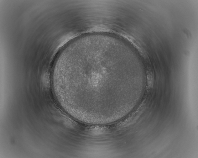 X0000111651266200908141243