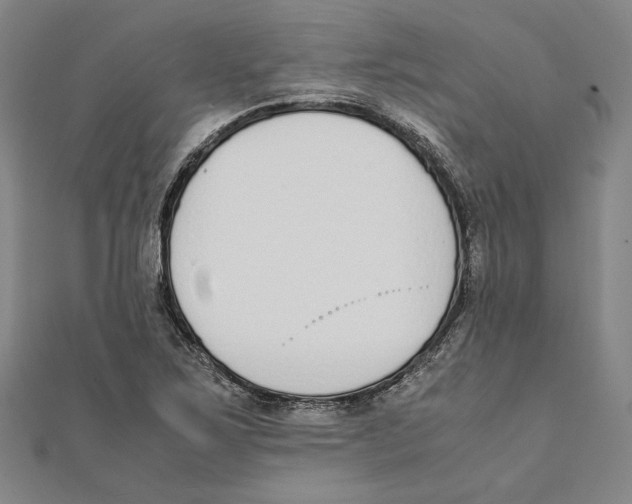 X0000111651267200908141243