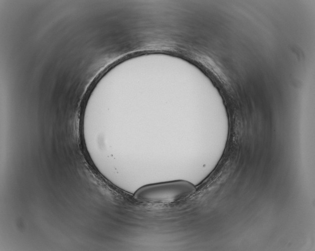 X0000111651268200908141243