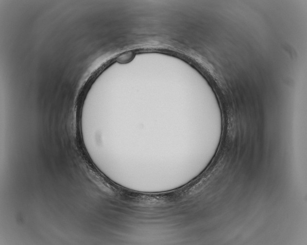 X0000111651270200908141243