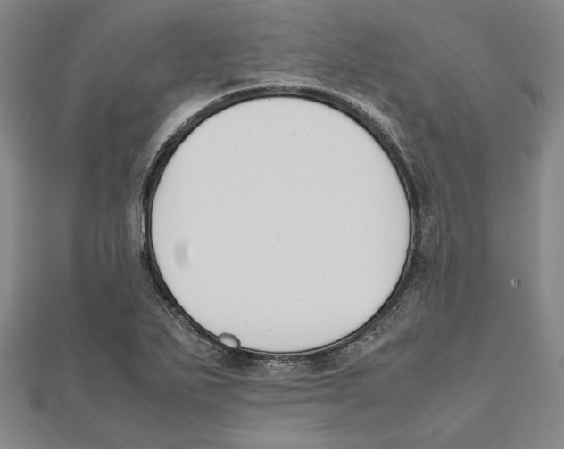 X0000111651271200908141243