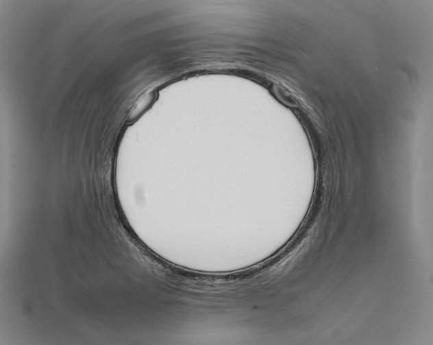 X0000111651273200908141243