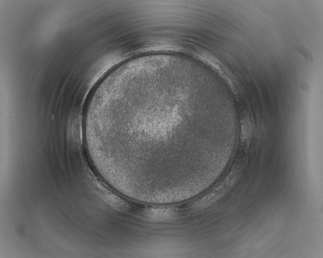 X0000111651274200908141243