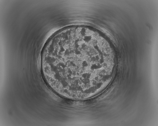 X0000111651275200908141243