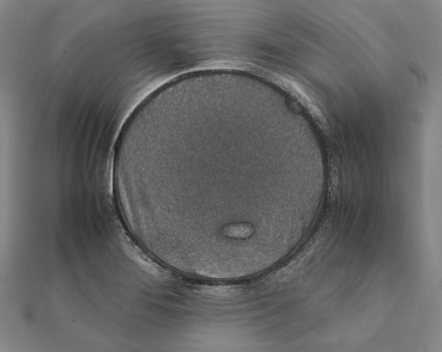 X0000111651276200908141243