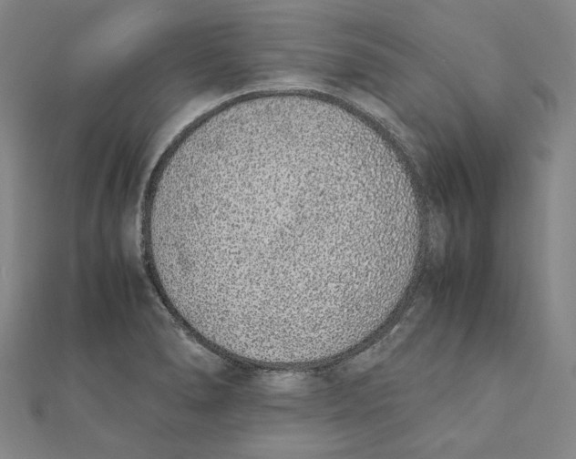X0000111651278200908141243