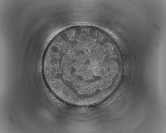 X0000111651279200908141243