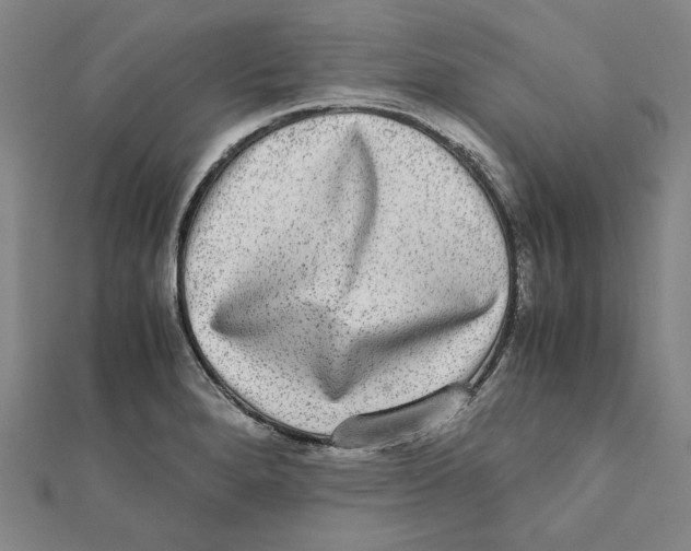 X0000111651280200908141243