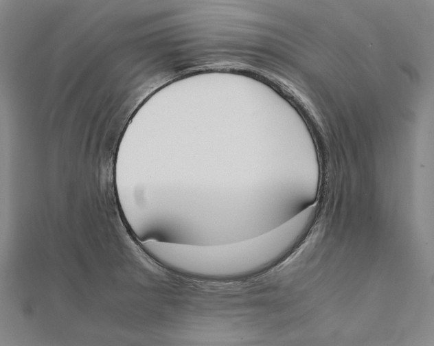 X0000111651281200908141243