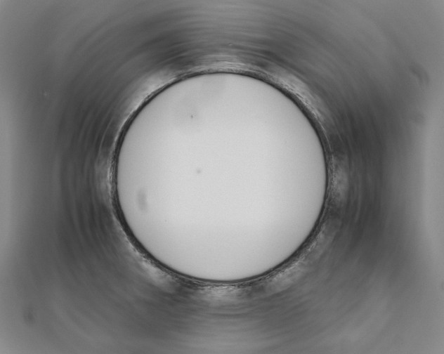 X0000111651282200908141243
