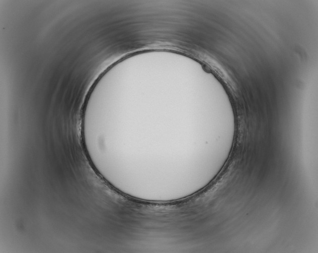 X0000111651284200908141243