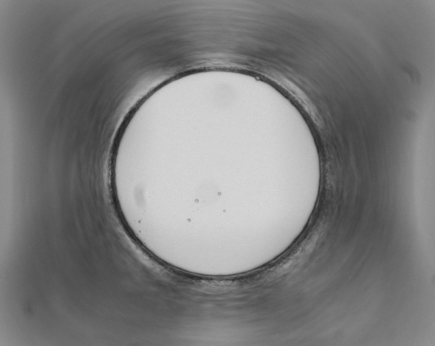 X0000111651285200908141243