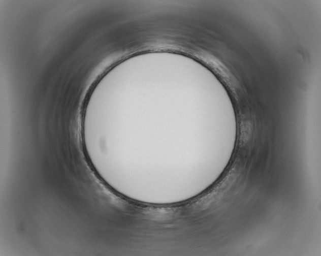 X0000111651286200908141243