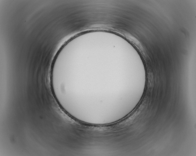 X0000111651288200908141243
