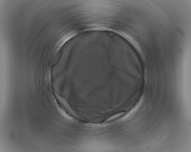 X0000111651289200908141243