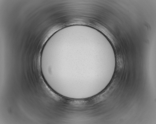 X0000111651290200908141243