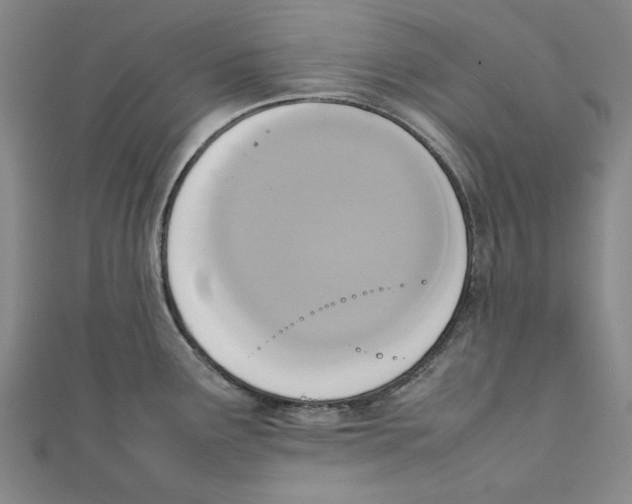 X0000111651291200908141243