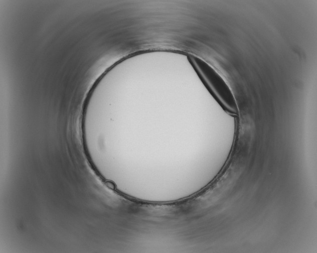 X0000111651293200908141243