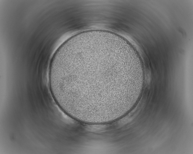 X0000111651294200908141243