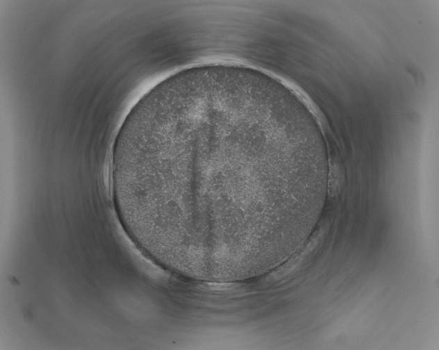 X0000111651295200908141243