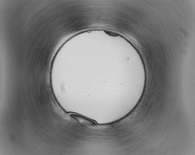 X0000111651296200908141243