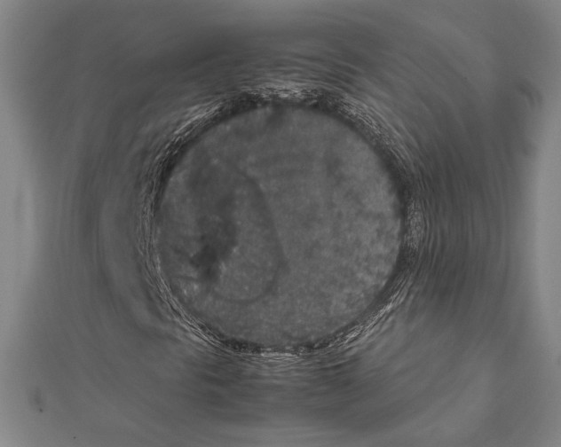 X0000111651297200908141242