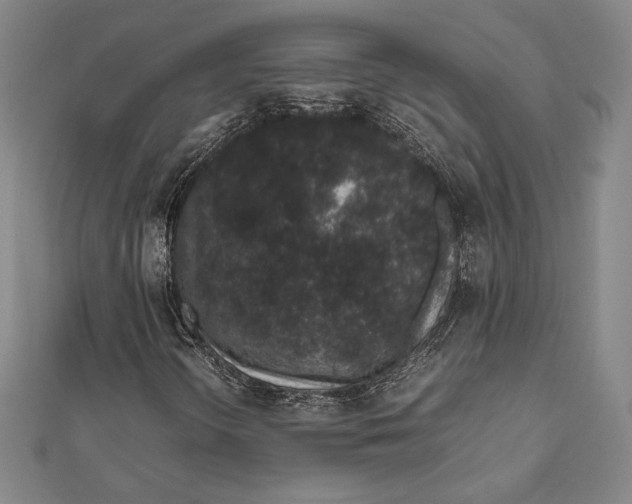 X0000111651298200908141242