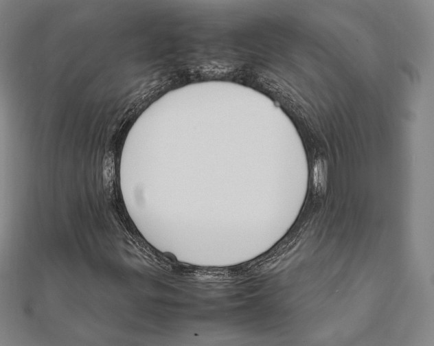 X0000111651299200908141242