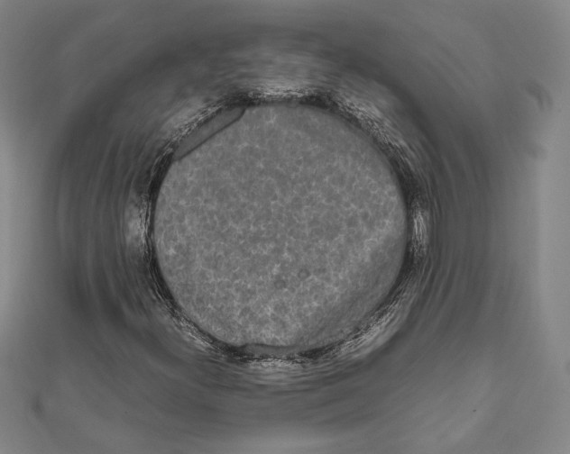 X0000111651300200908141242
