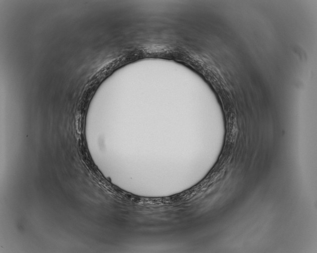 X0000111651301200908141242