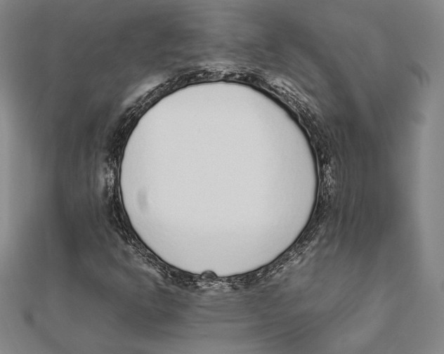 X0000111651302200908141242