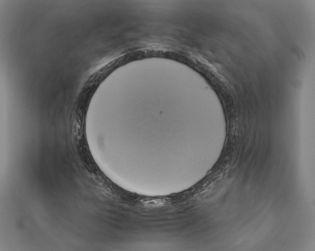 X0000111651303200908141242